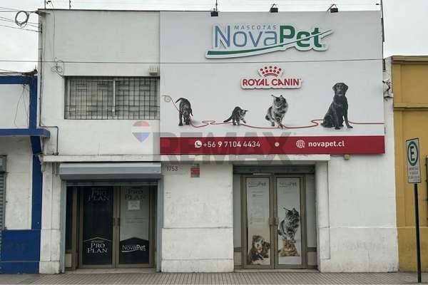 Gran local 287m²: ventas, bodegas y oficinas