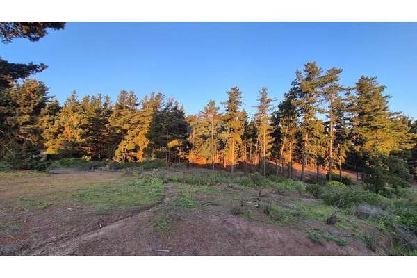 Terreno en loteo rol propio/los pinos (1.763 mts2)