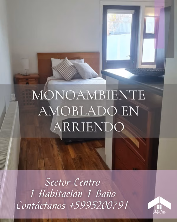 MONOAMBIENTE SECTOR CENTRO