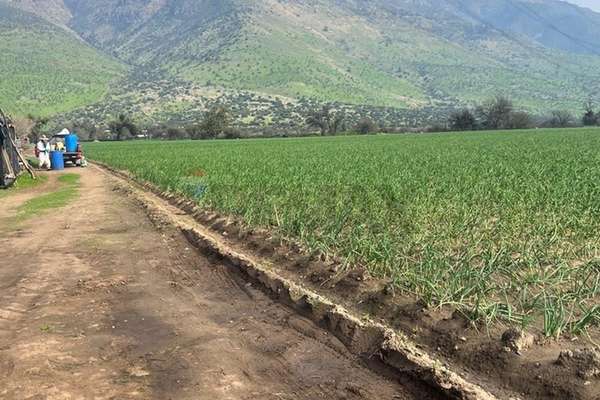 Terreno de 6,98 h.a, tiltil