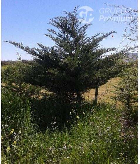 Parcela en venta en Melipilla