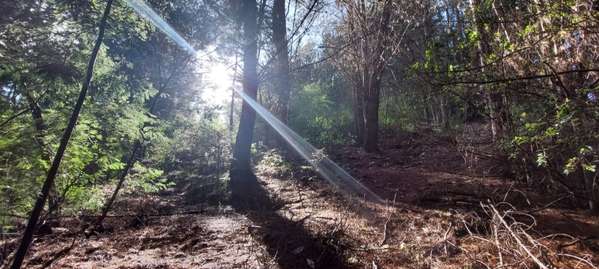 PARCELA  RUTA 146, VILLA ROMA SECTOR CRUCE AGUA DE