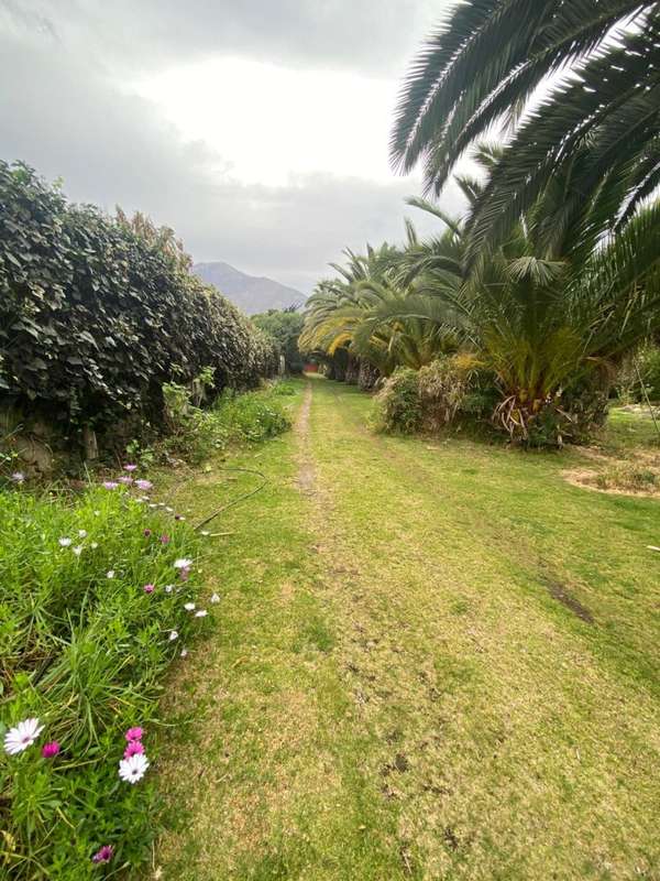 VENTA GRAN PARCELA EN EL HINOJAL, VALLE DEL ELQUI