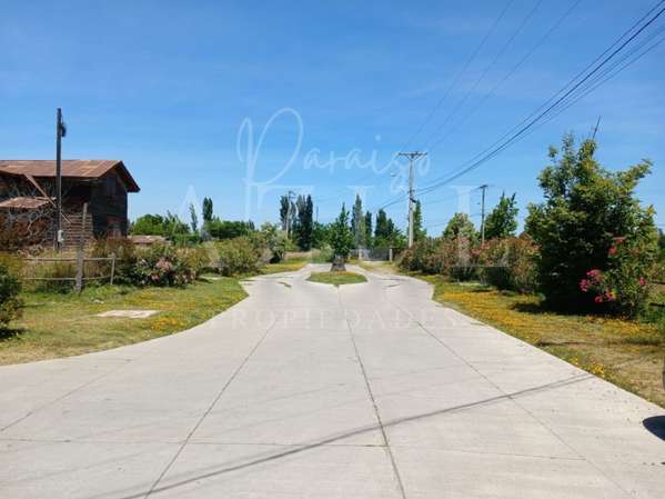 Parcela en Olivar 5000m2 en Condominio