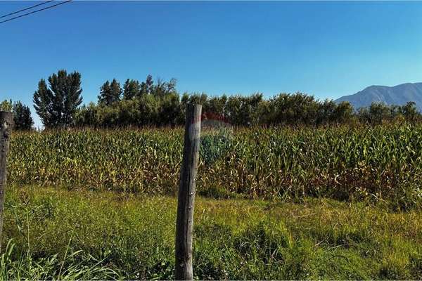 Parcela en venta coltauco