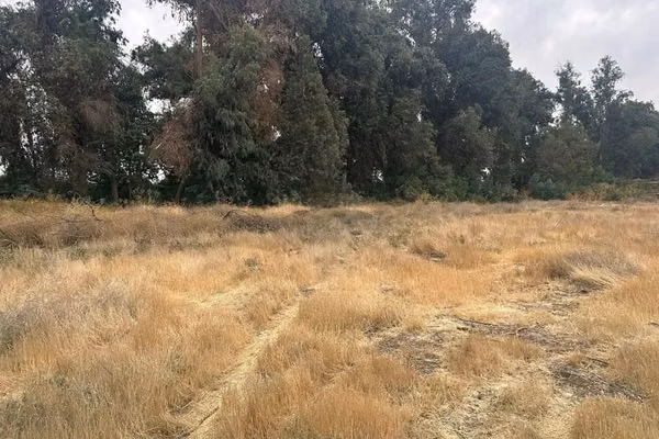 Oportunidad Única! Terreno De 15000 Mts