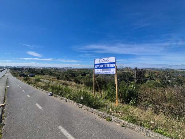 Buscas Terreno Urbano en Ruta 5: (Alto Bonito 7500 m2)