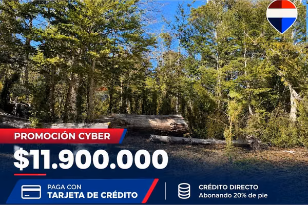 Venta linda parcela - curarrehue a 1 hora de pucón