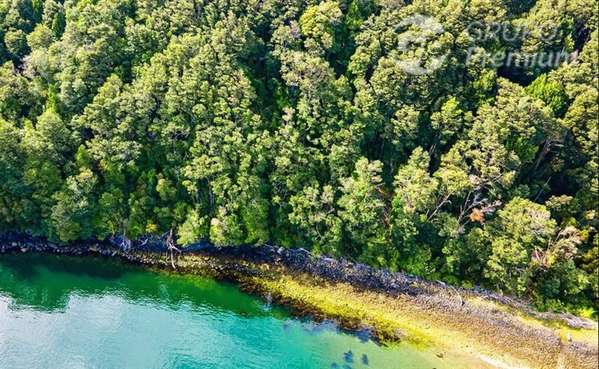 Hermosa Parcela Agrícola con bosque nativo en venta en Aysén