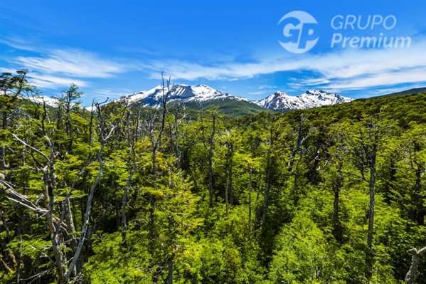Patagonia:5,9 Ha Con Gran Potencial Turístico En Lago Verde