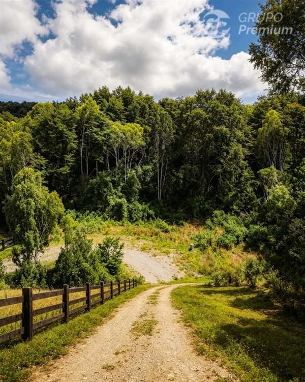 Gran Oportunidad Parcela Para tu Casa en Venta en Frutillar