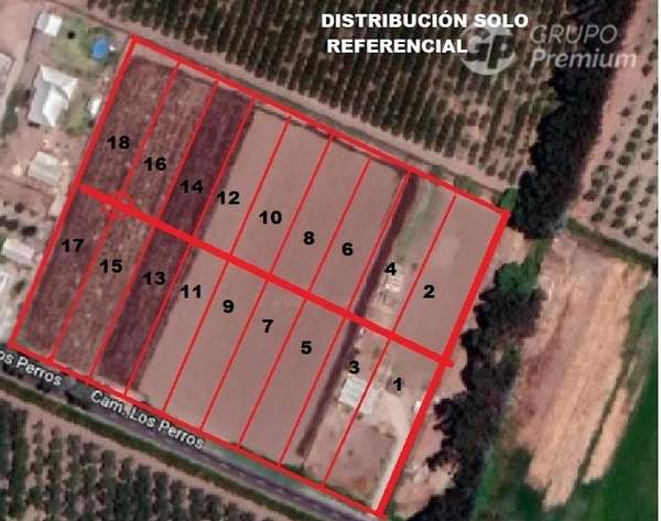 Terreno Agrícola de alta producción en venta en Talagante