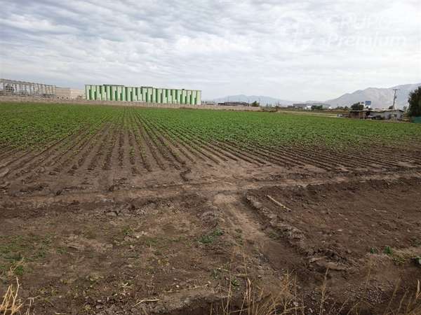 Sitio en arriendo en Lampa