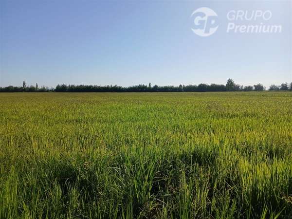 Sitio en venta en Longaví