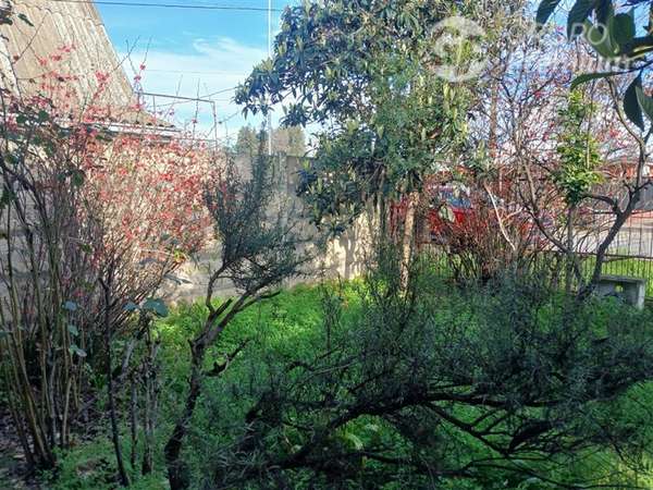 Sitio en venta en Linares