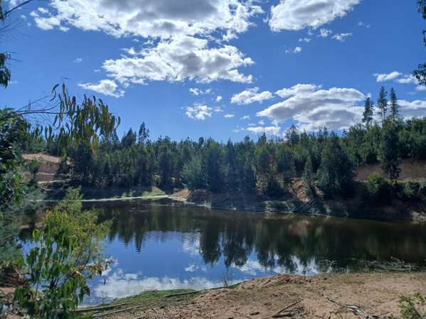 Hermosa Parcela de 5.000 m² en Hualañé, Curicó