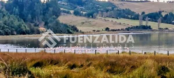 Vende Primera Línea terreno Pullao Península Rilán Castro