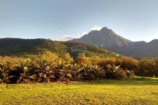 Parcela - oasis de la campana, 5.131 m²