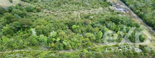 Parcela en venta en Ilque, camino costero Calbuco