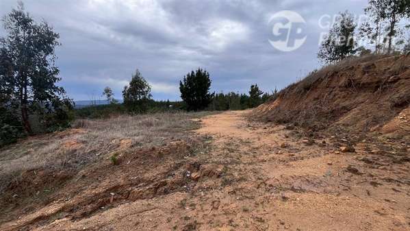 Sitio en venta en Pichilemu