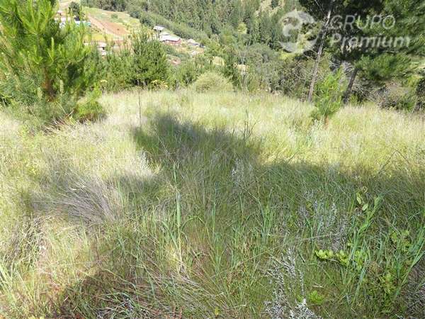 Terreno Agrícola y Forestal en venta en Portezuelo