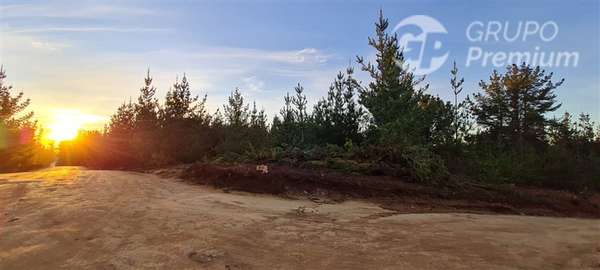 Parcela en venta en Pichilemu