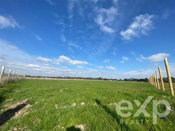 Sitio en venta en San Carlos, Punto pipeño