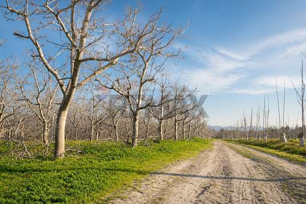 Parcela en venta, buin