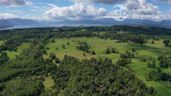 Venta-Agricola/preservación-Turismo-Villarrica/16 héctareas