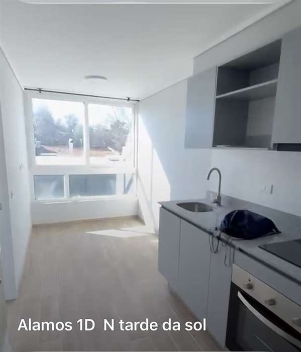 1/2 MESGRATIS,SIN AVAL,1D1BOPCION E,B,ALAMOS 1830 STGO