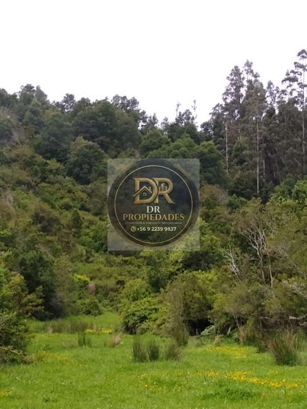 EXCELENTE OPORTUNIDAD DE INVERSION: CAMPO DE 7,9 HECTAREAS