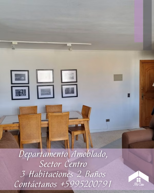 DEPARTAMENTO AMOBLADO EN ARRIENDO SECTOR CENTRO