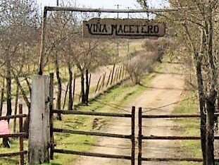 En arriendo, Fundo El Macetero 198,9 Há, Cauquenes. 199 UF.