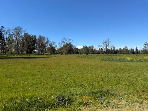Alto Champel. Parcela con acceso al río. Con luz y agua. Lote 51