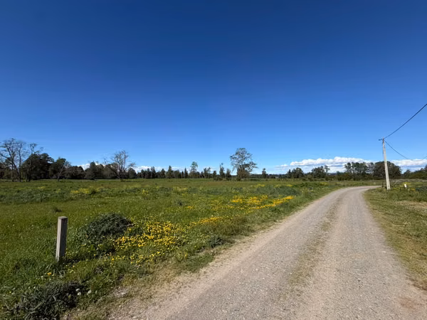 Alto Champel. Parcela con acceso al río. Con luz y agua. Lote 50.