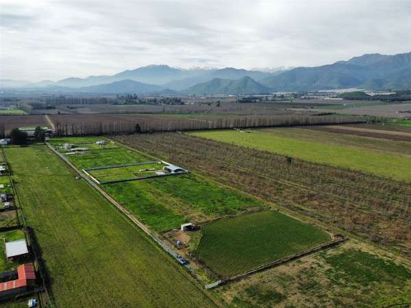 PARCELA Las Delicias, Codegua