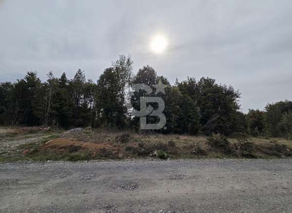 Oportunidad, terreno mixto con Bosque Nativo