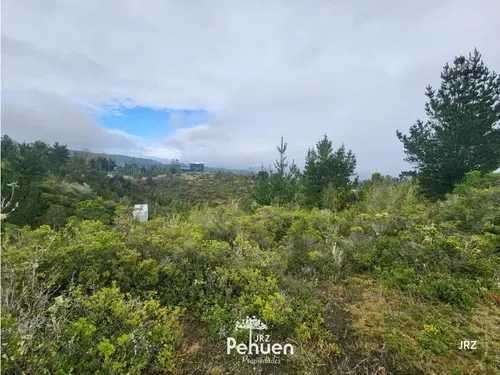 Terreno de 10.000 m2 camino a Niebla (186929)
