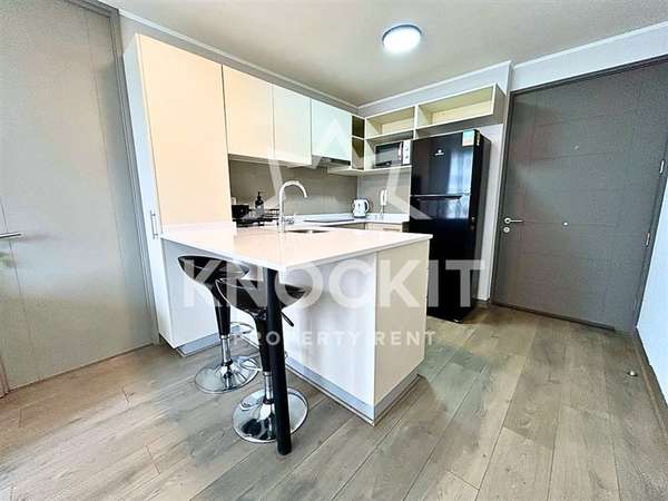 Arriendo Depto 1D1B Amoblado - En Froilan Roa 6333