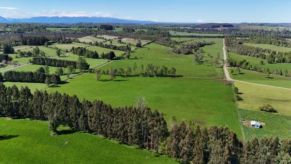 Vendo hermoso campo sector el LLolly - Futrono (187088)