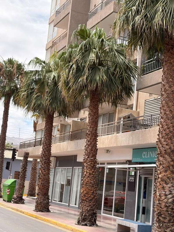 Departamento amueblado Centro de Copiapó