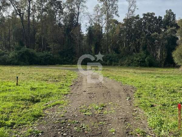 Oferta Hermosa vegetación nativa en Santuario de Frutillar,
