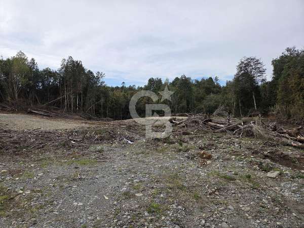 Residencial en Condominio con Bosque Nativo