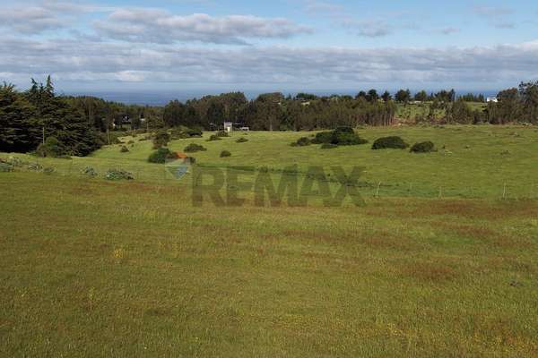 Terreno 5.000 m² cahuil a 1500m de la playa