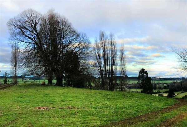 Gran Oportunidad Parcela Lago Ranco Sector Ignao 5000 m2