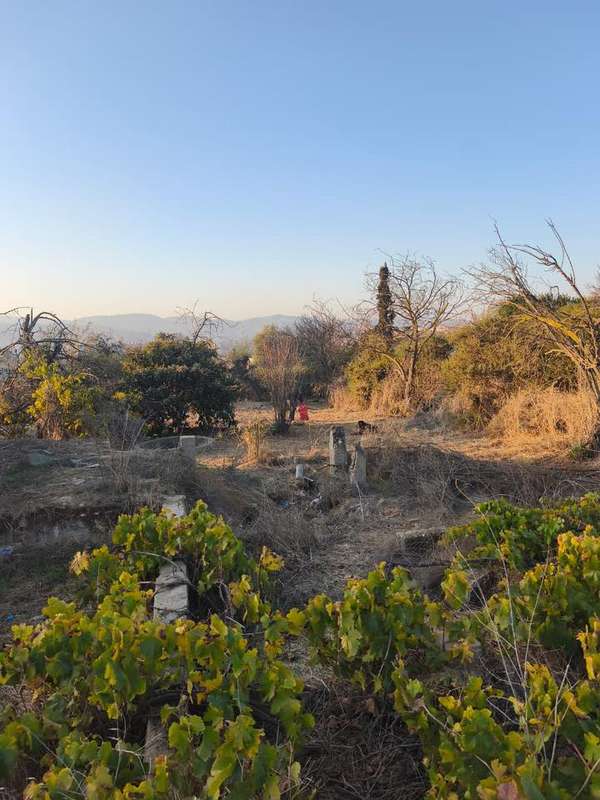 AMPLIO TERRENO EN VENTA SECTOR RESIDENCIAL QUILPUE