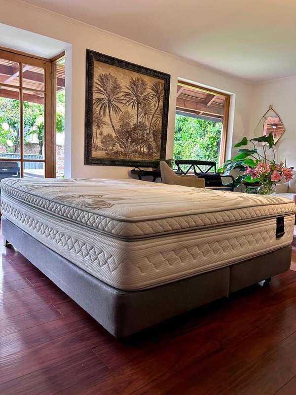Cama Europea Art 4 De 2 Plazas Base Dividida (Usado)