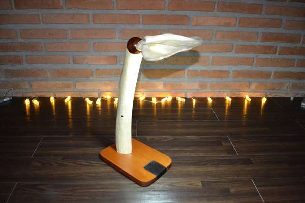 Lampara exclusiva, Mar y Bosque