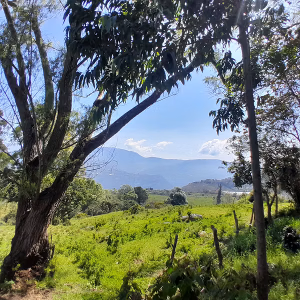 Venta Lote Rural, San Agustin, Ubaque, Choachí, Cundinamarca