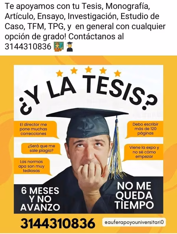 se hacen tesis investigaciones y tareas